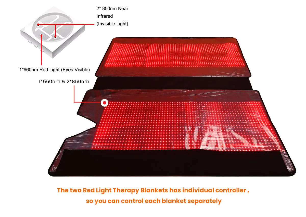 Glow Cocoon Pro– The Ultimate Light Pod